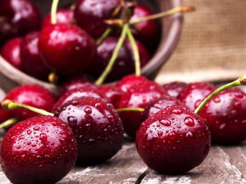 Вишня купить саженцы из питомника в Пскове